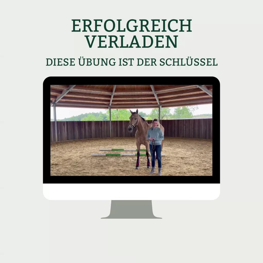 Video Pferde erfolgreich verladen