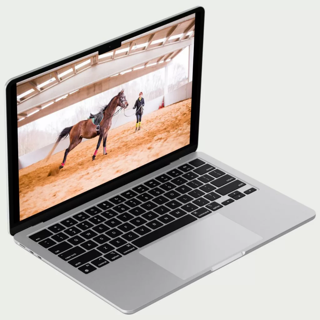 Pferdetraining online