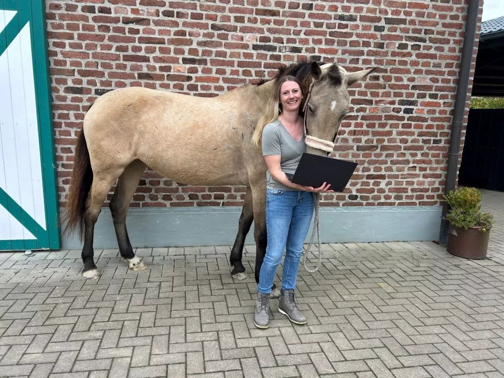 Smart Horse Academy