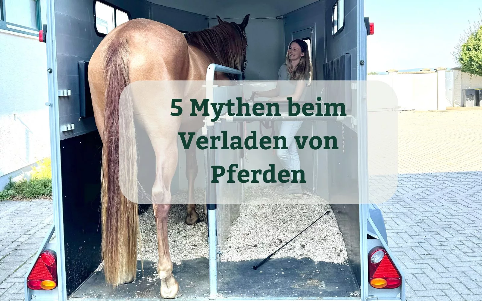 Verladen von Pferden: 5 Mythen