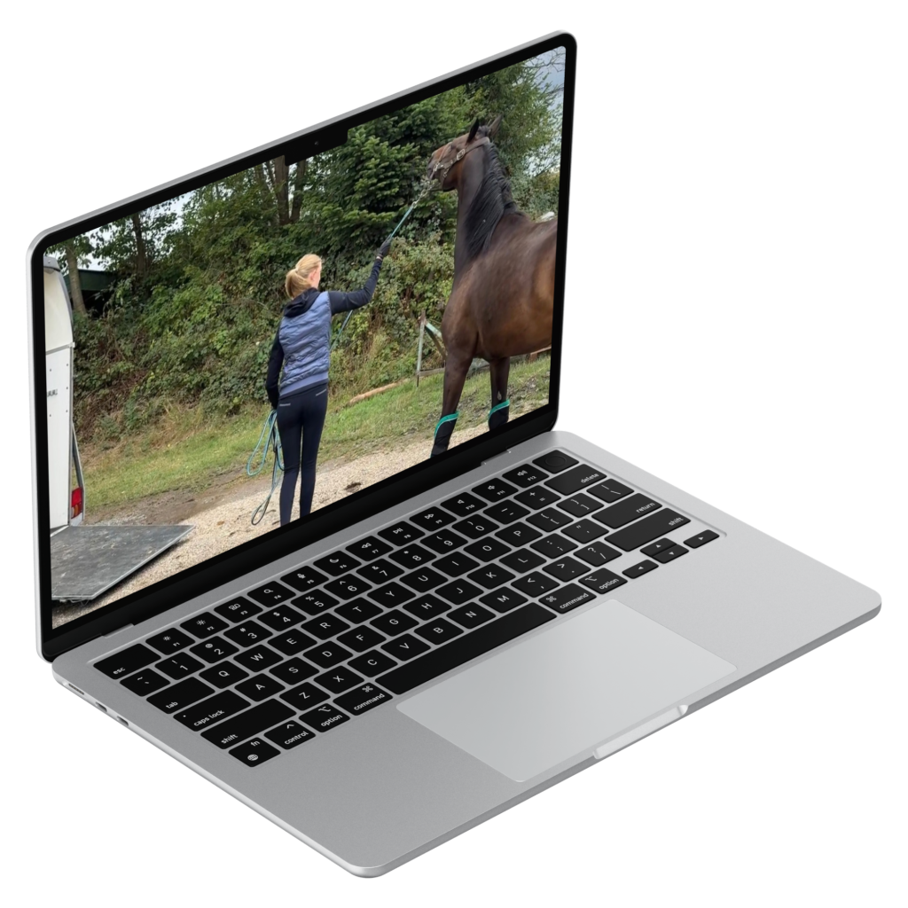 Online Verladetraining:Bild von einem Laptop und Pferdanhänger im Hintergrund